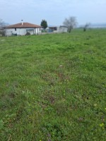 КОСЕНЕ НА ТРЕВИ РЯЗАНЕ НА ДЪРВЕТА КЛОНИ ХРАСТИ