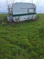 РЯЗАНЕ НА ДЪРВЕТА РАЗЧИСТВАНЕ И СЪБАРЯНЕ БЪРЗО И ИЗГОДНО 0896086351