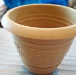Саксийка 